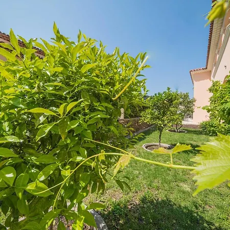 Brin D'azur - Tropez 4* Σαιν-Τροπέ